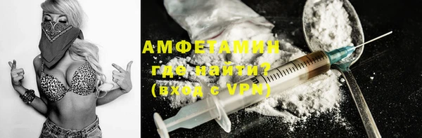 индика Горнозаводск