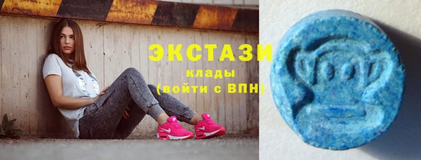 apvp Горняк