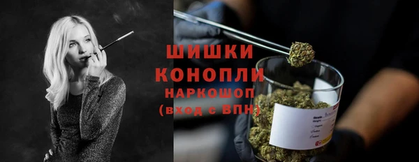 apvp Горняк