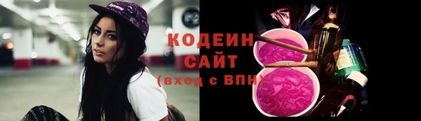 индика Горнозаводск