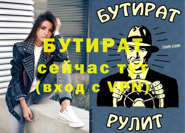 индика Горнозаводск