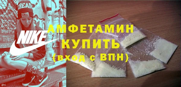 apvp Горняк