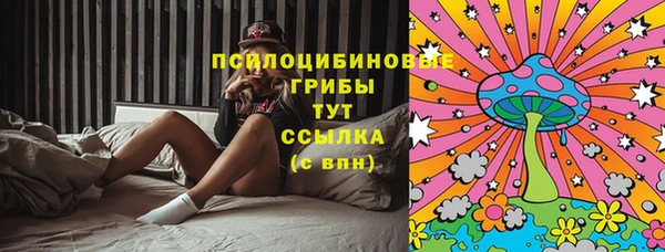 индика Горнозаводск