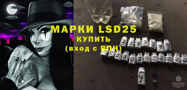 apvp Горняк