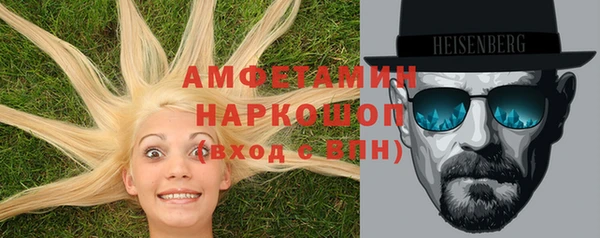 индика Горнозаводск