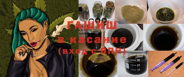 индика Горнозаводск