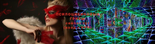 индика Горнозаводск
