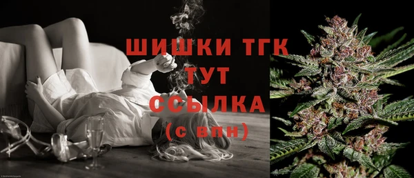 индика Горнозаводск