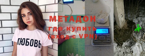 индика Горнозаводск