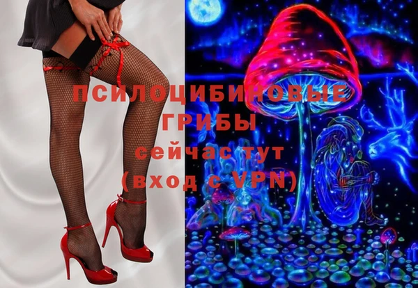apvp Горняк