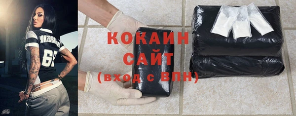 индика Горнозаводск
