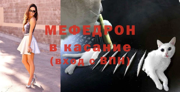 индика Горнозаводск
