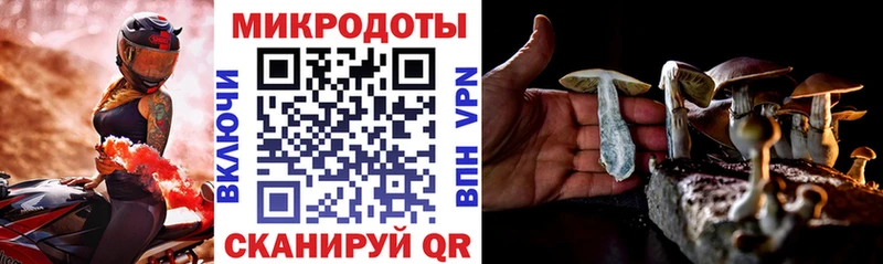 Купить где  Ступино  Псилоцибиновые грибы Magic Shrooms 